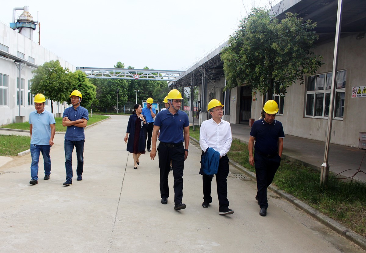 孙洪武副院长一行赴c7(中国)公司督查指导安全生产工作