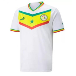 CUSTOM Senegal White 2022 Qatar World Cup Home Authentic Soccer Jersey 