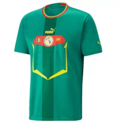 Youth Senegal National Soccer 2022 World Cup Green Away Replica Jersey