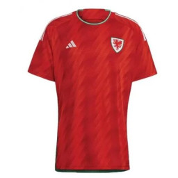 Youth Wales National Soccer 2022 World Cup Red Home Replica Jersey